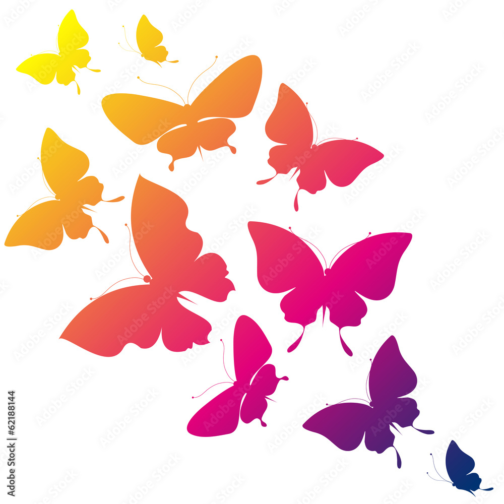 Fototapeta premium butterflies design