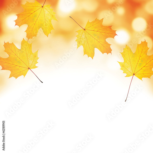 Autumn leaf background with room for copy space.