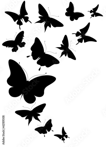 butterflies design