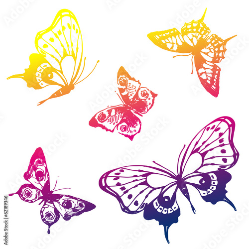 butterflies design