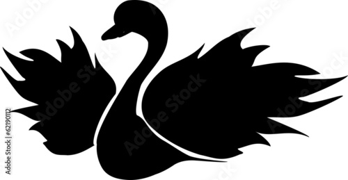 Fototapeta Naklejka Na Ścianę i Meble -  Black swan