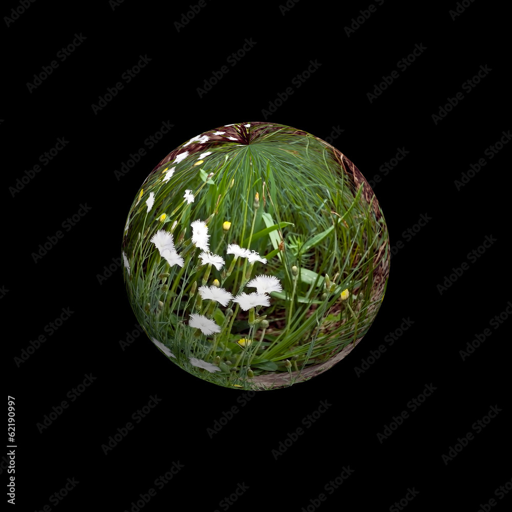 Flower sphere