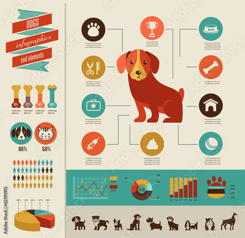 Dogs infographic and icon set