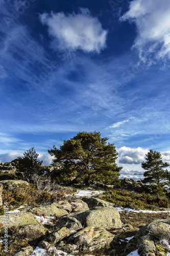 Landscape in mountain in Madrid. Spain