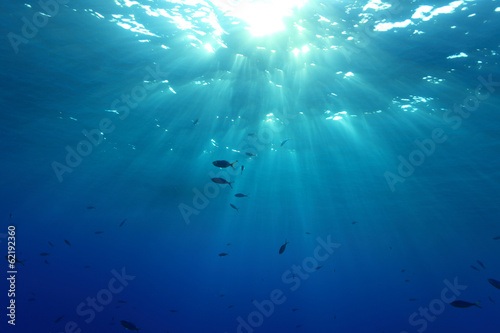 Wody powierzchnia i światło słoneczne w oceanie