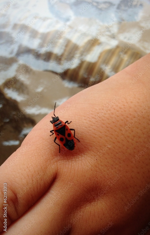 Obraz premium salto al vacio