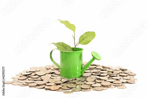 Plant grows from watering can with coins