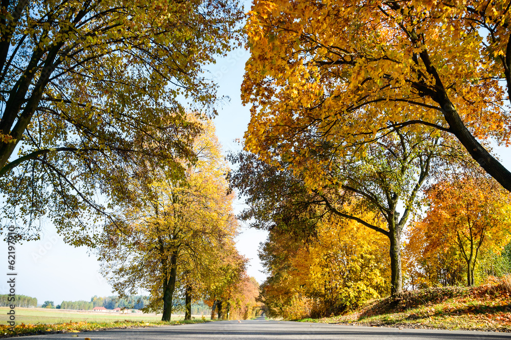 road country road country