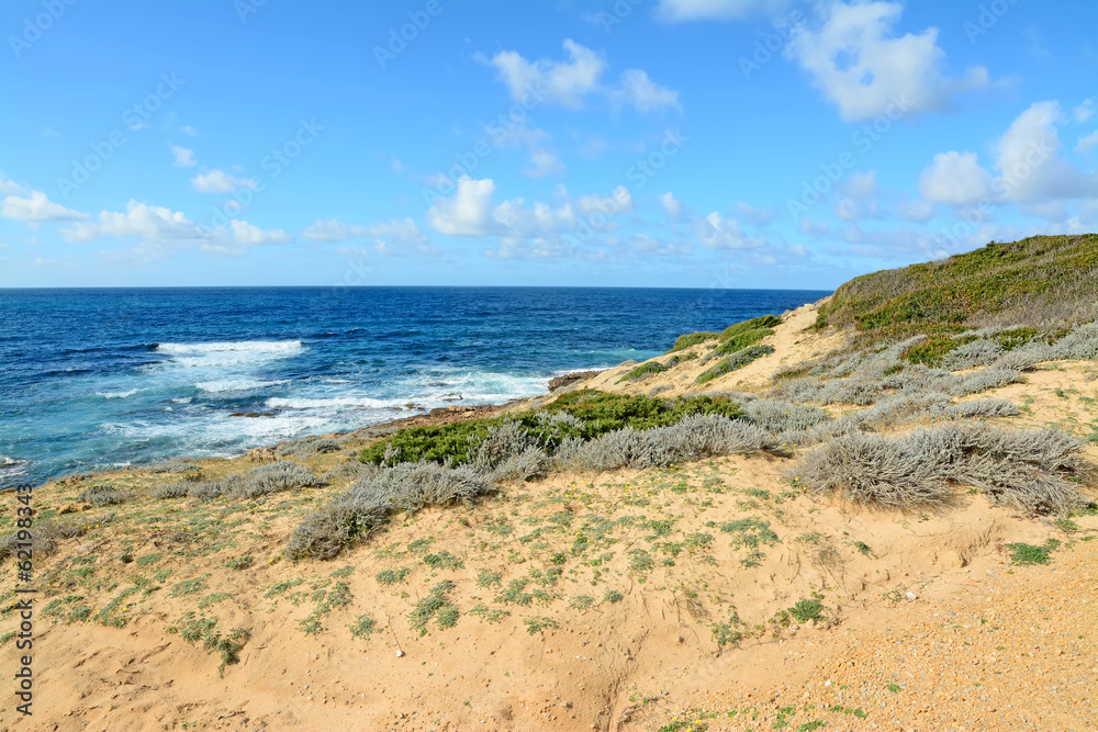 yellow shore