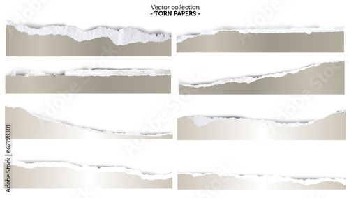 Collection of torn papers on white background, vector