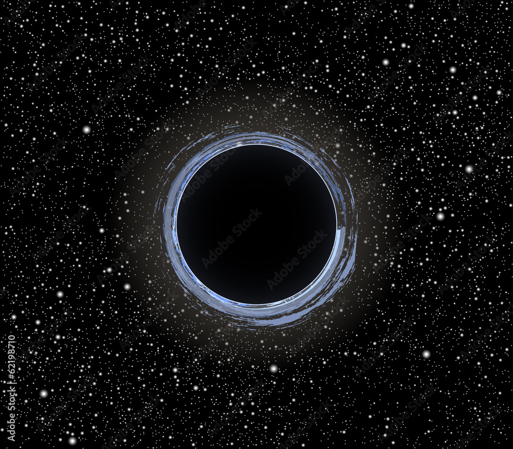 Black hole vector