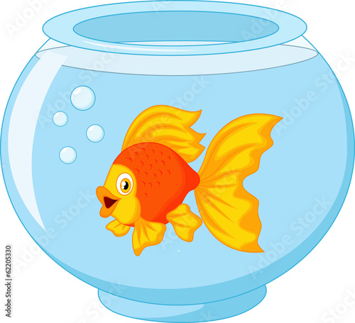Gold fish in aquarium