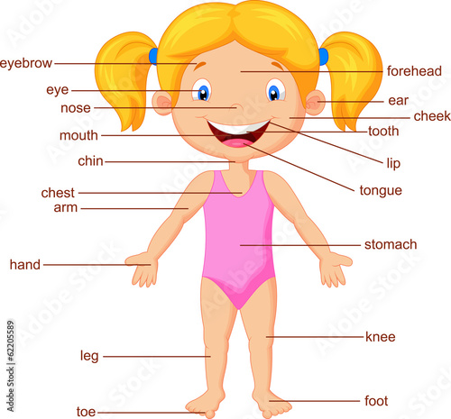Vocabulary part of body
