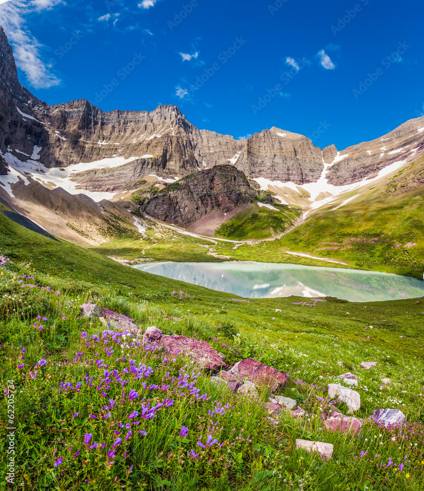 Cracker Lake and wild lilies in Glacier national park, Montana Cracker Lake and wild lilies in Glacier national park, Montana