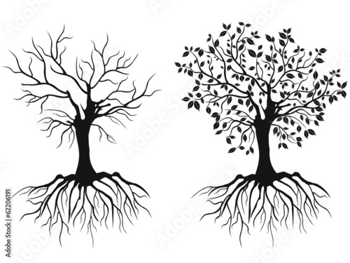 trees with roots