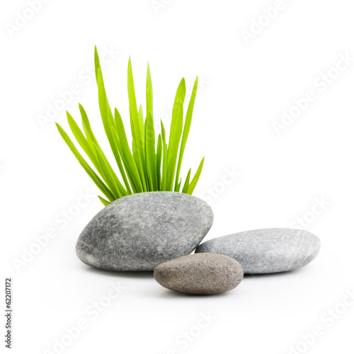 Stones with grass isolated on white background.