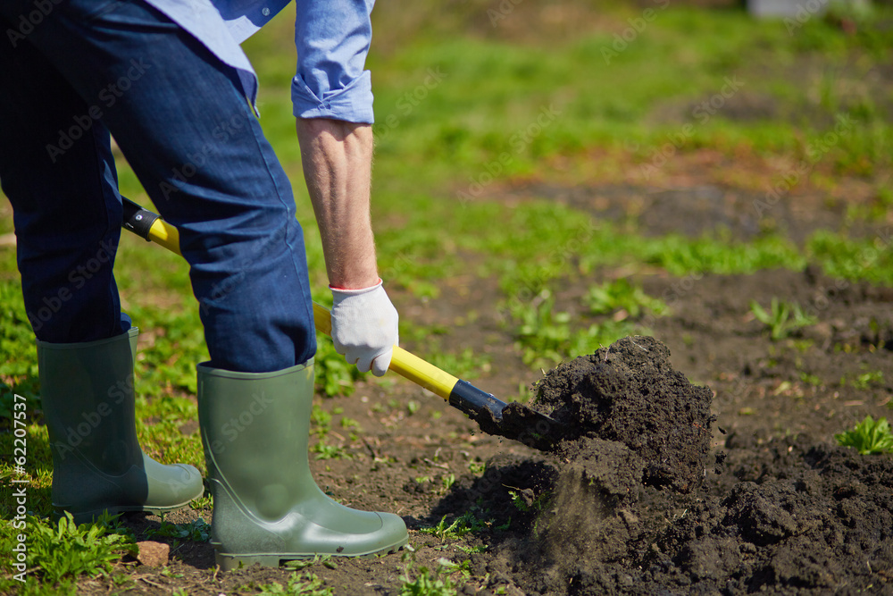 Digging Digging