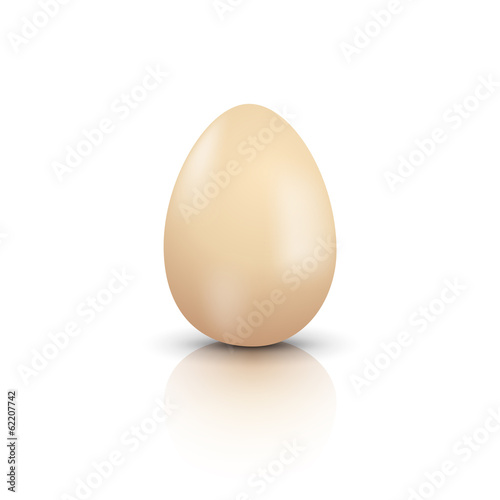 Vector natural egg