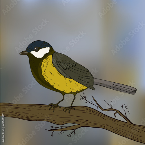 Bird tit on branch in vector