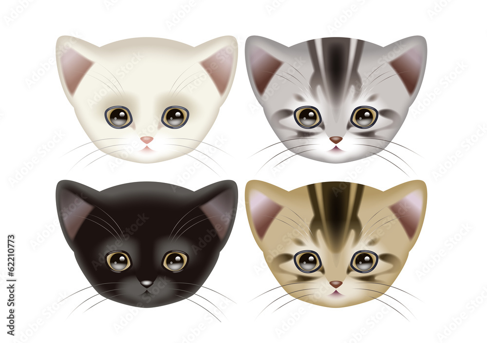 猫 猫