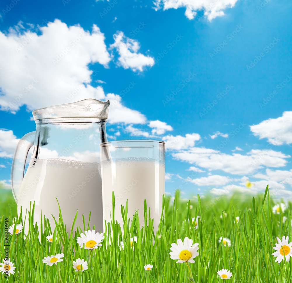 Milk jug with glass in grass Milk jug with glass in grass