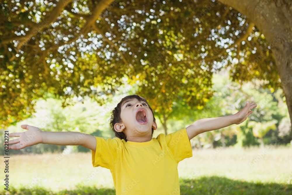 Boy with arms outstretched looking up in park