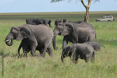 tourisme en afrique photo