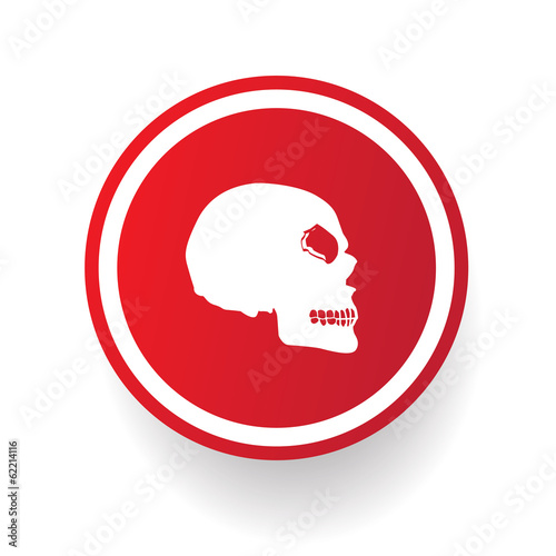 Scull button,vector
