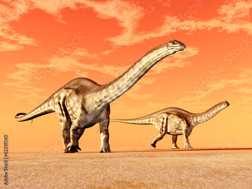 Dinosaur Apatosaurus © Michael Rosskothen