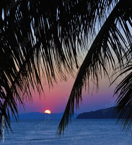 Sunset with palm leaves.