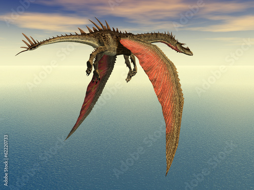 Flying Dragon photo