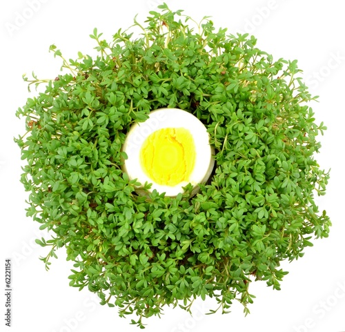 watercress with egg