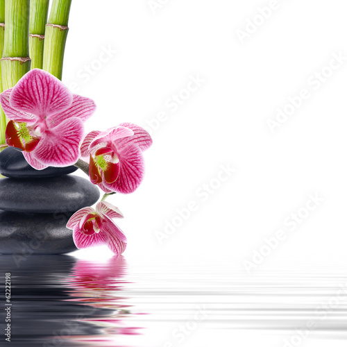 Fototapeta Naklejka Na Ścianę i Meble -  orchid flower in closeup with reflection in water