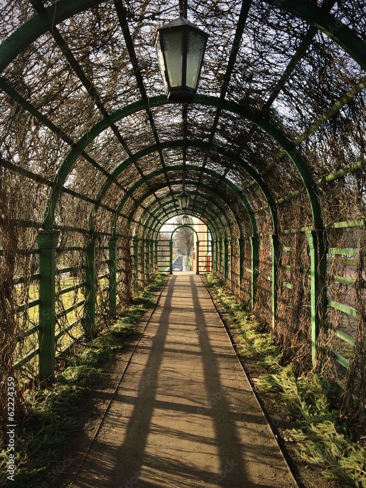 Tunnel of plants