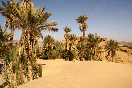 premi  res dunes du Sahara