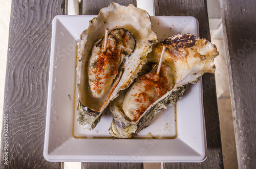 big  oysters
