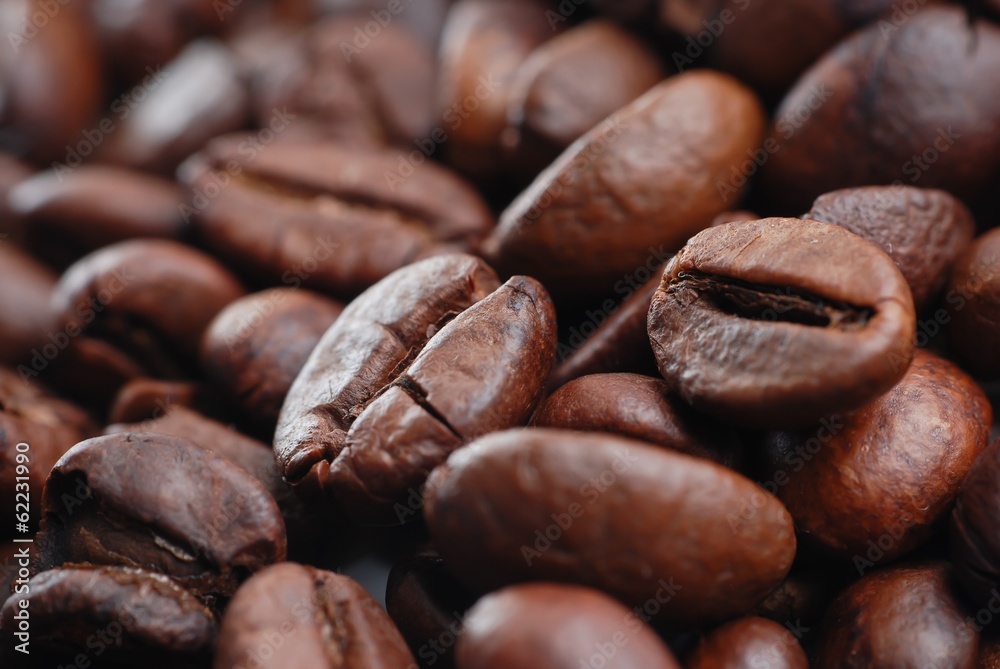 Fototapeta premium Close Up Coffee Bean