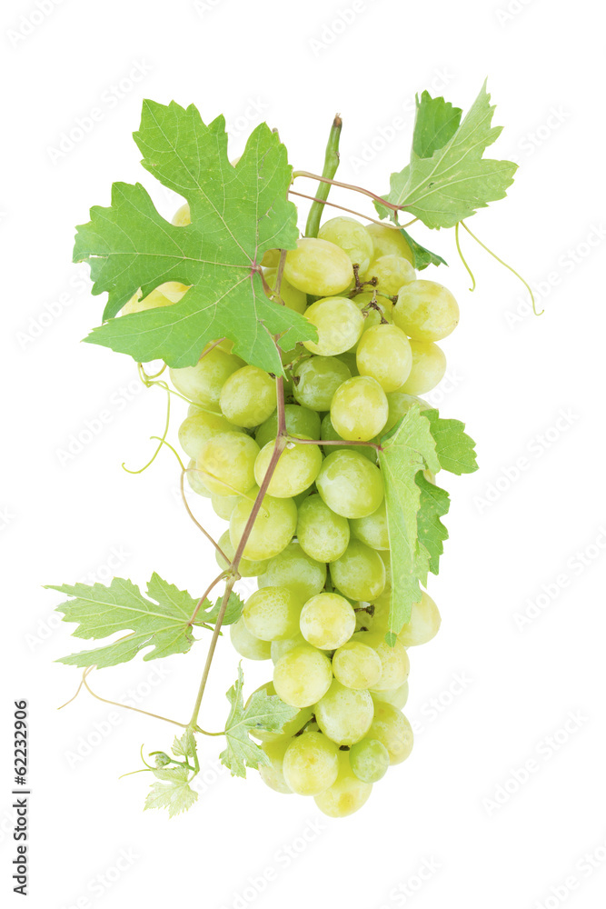 Obraz premium Fresh ripe grapes