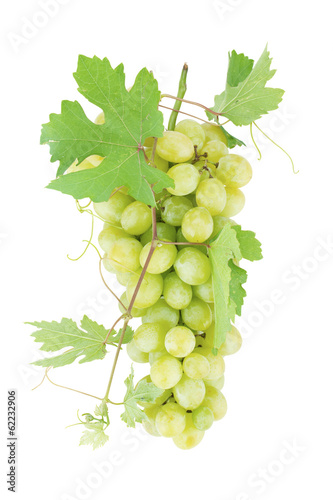 Fresh ripe grapes