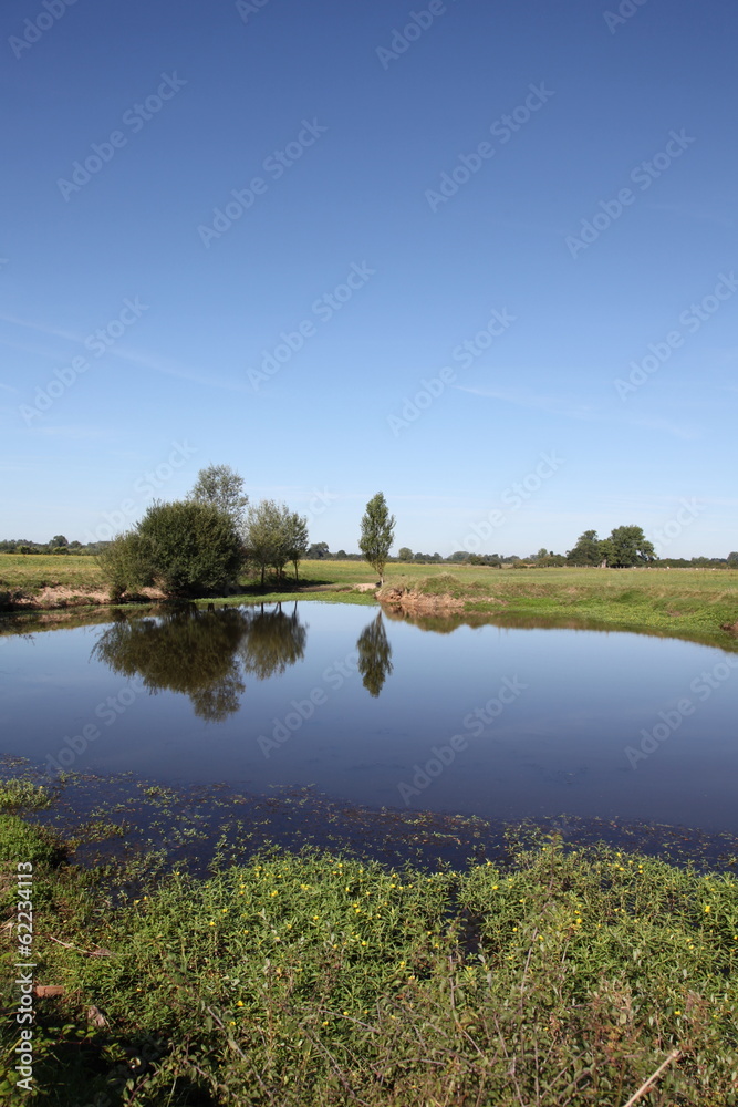 Etang près de la Loire.