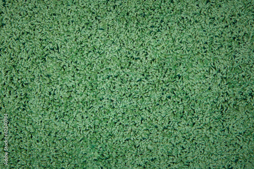 green carpet texture, closeup