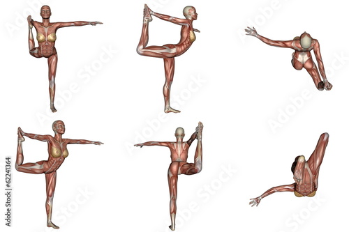 Dancer yoga pose for woman with muscle visible