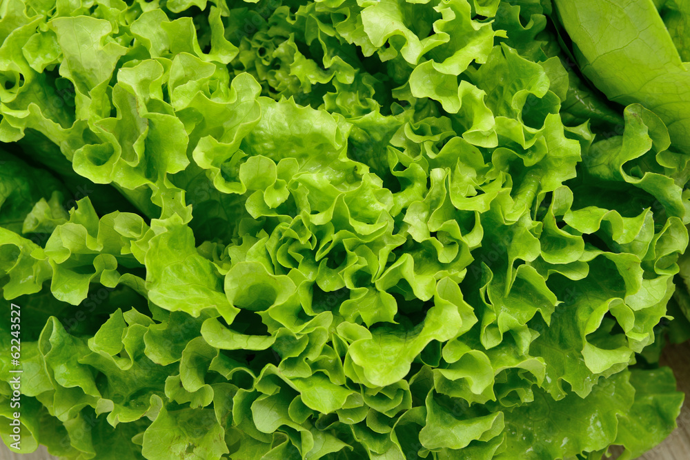cespo d'insalata verde posta su un tavolo di legno