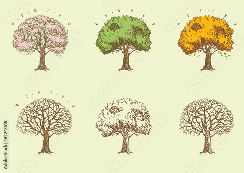 Vector set of seasonal  trees at engraving style.