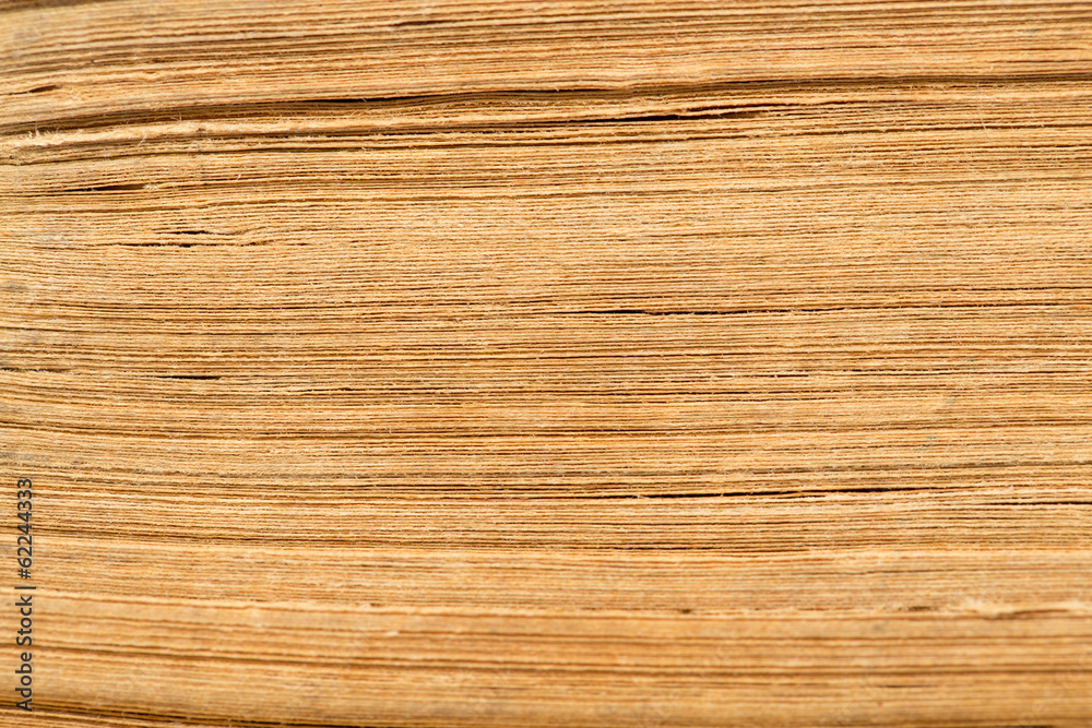 background of the book's pages. macro background of the book's pages. macro