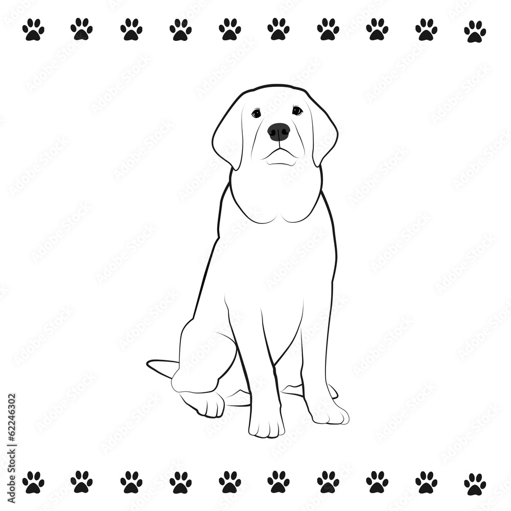 Pooch Drawing Pooch Drawing