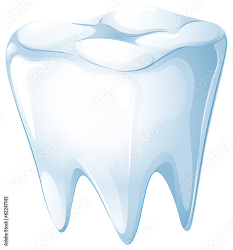 A tooth