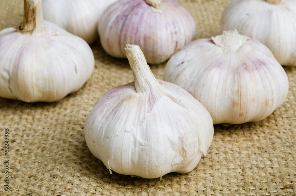 Garlic