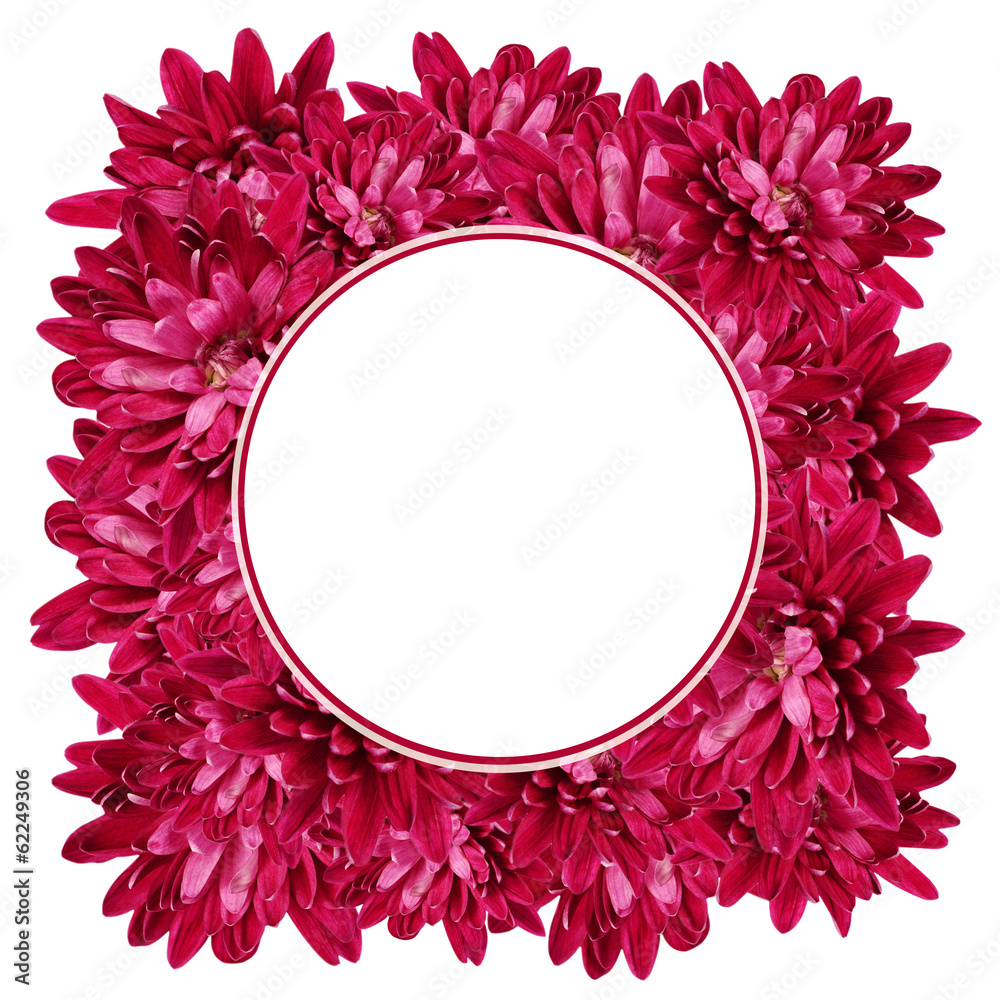 Frame with aster flowers Frame with aster flowers