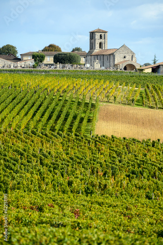 Vineyards of Montagne-Saint-Emilion, Bordeaux Vineyards Fototapet